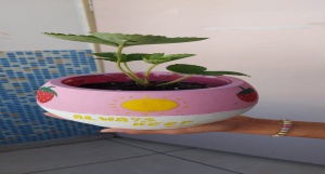 05-06-2025
